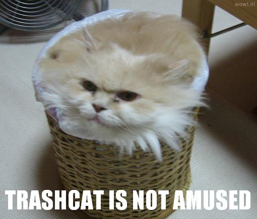 https://www.xghozt.com/site/Gallery/images/trashcat.jpg